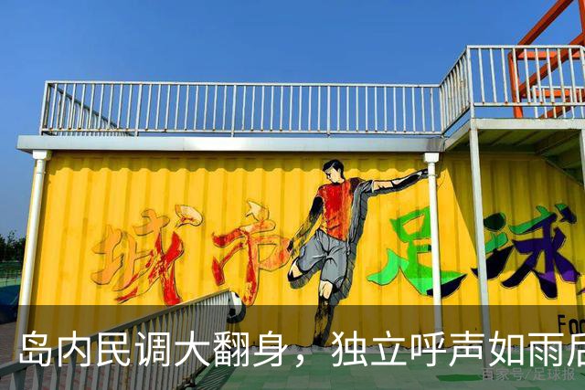 岛内民调大翻身，独立呼声如雨后春笋，咋回事？
